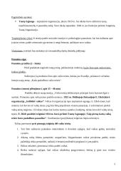 Išplėstinis pilietinės visuomenės pagrindų pamokos planas: "Kada paskelbtos vaiko teisės?" 3 puslapis