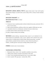 Išplėstinis renginio planas: Laisvės kaina 2 puslapis