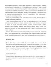 Išplėstinis renginio planas: Laisvės kaina 4 puslapis