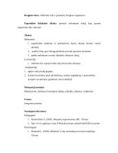 Išplėstinis ugdomojo renginio planas: "Alkoholio žala" 2 puslapis