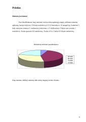 Išplėstinis ugdomojo renginio planas: "Per pasakas į kalbą" 5 puslapis