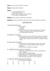 Logopedijos pamokos išplėstinis planas 2 puslapis