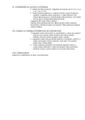 Logopedijos pamokos išplėstinis planas 3 puslapis