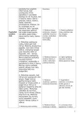 Muzikos pamokos planas: ritmas 2 puslapis