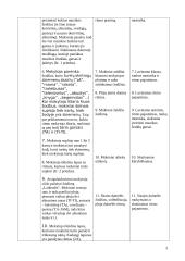 Muzikos pamokos planas: ritmas 3 puslapis