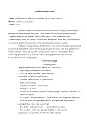 Netradicinė lietuvių kalbos pamoka 3 puslapis