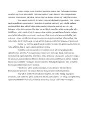 Netradicinė lietuvių kalbos pamoka 4 puslapis