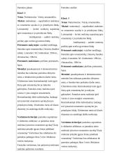 Pamoka apie natiurmortus