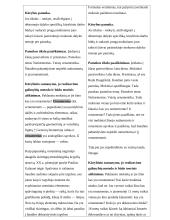 Pamoka apie natiurmortus 2 puslapis