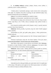 Pamokos planas: Asmeninio biudžeto sudarymo gebėjimų ugdymas 2 puslapis