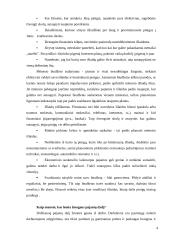 Pamokos planas: Asmeninio biudžeto sudarymo gebėjimų ugdymas 4 puslapis