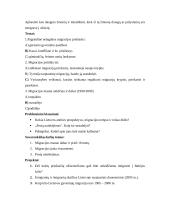 Pamokos planas: gyventojų migracija 5 puslapis