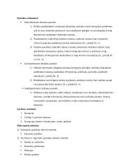 Pamokos planas: kaip kovoti su korupcija 2 puslapis