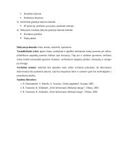 Pamokos planas: kaip kovoti su korupcija 3 puslapis