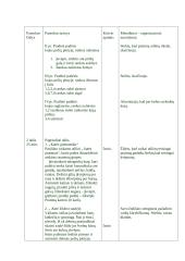 Pamokos planas: Krepšinis su gimnastika 2 puslapis