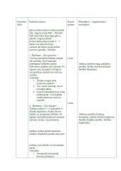 Pamokos planas: Krepšinis su gimnastika 3 puslapis