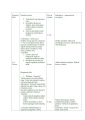 Pamokos planas: Krepšinis su gimnastika 4 puslapis