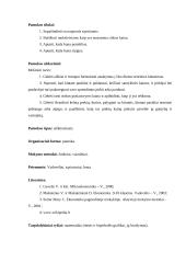 Pamokos planas: paklausos ir pasiūlos sąveika 2 puslapis