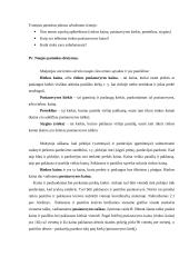 Pamokos planas: paklausos ir pasiūlos sąveika 4 puslapis