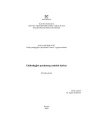 Pamokos planas: Tapymo žanras - natiurmortas
