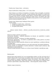 Pamokos planas: Tapymo žanras - natiurmortas 3 puslapis