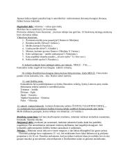 Renginio planas: "Šv. Valentinas – viskas apie meilę" 3 puslapis