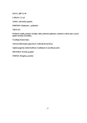 Renginio planas: Adventinė popietė 2 puslapis