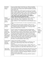 Renginio planas: adventinio vainiko pynimas 3 puslapis