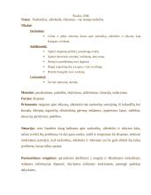 Renginio planas: disputas "Narkotikai, alkoholis, rūkymas – tai manęs neliečia" 2 puslapis