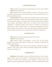 Renginio planas: disputas "Narkotikai, alkoholis, rūkymas – tai manęs neliečia" 6 puslapis