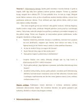 Renginio planas: disputas "Narkotikai, alkoholis, rūkymas – tai manęs neliečia" 8 puslapis