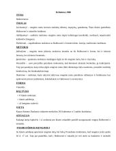 Renginio planas: Halloweenas 2 puslapis