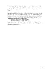 Renginio planas: sporto šventė-varžybos 3 puslapis