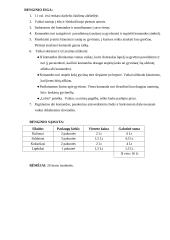 Renginio planas: žaidimas "Gyvūnijos pasaulis" 2 puslapis