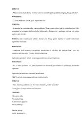 Renginio scenarijus: "Knygų bičiuliai" 2 puslapis