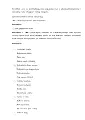 Renginio scenarijus: "Knygų bičiuliai" 5 puslapis