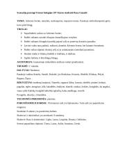 Renginio scenarijus: Adventas