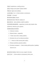 Renginio scenarijus: Medžių prieglobstyje 2 puslapis