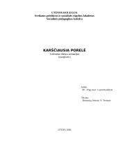 Valentino dienos scenarijus: "Karščiausia porelė"
