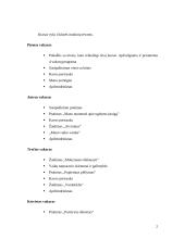 Veiklos su ugdytinių tėvais planas 2 puslapis