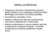 Atliekų paruošimas perdirbti ir naudoti 9 puslapis