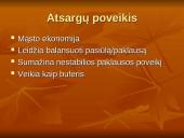 Atsargų valdymo analizė 2 puslapis