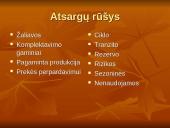 Atsargų valdymo analizė 3 puslapis