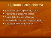 Atsargų valdymo analizė 7 puslapis