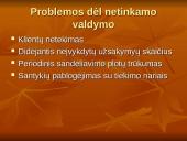 Atsargų valdymo analizė 9 puslapis