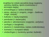 Barbarizmai iš kitų kalbų 10 puslapis