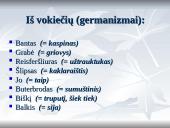 Barbarizmai - nenorminiai skoliniai 11 puslapis