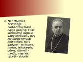 Barbarizmai ir hibridai 17 puslapis