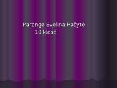 Book presentation: "Nebaigtas dienoraštis" 13 puslapis