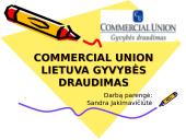 Commercial Union Lietuva Gyvybės draudimas